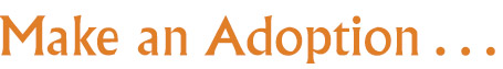 Make an adoption